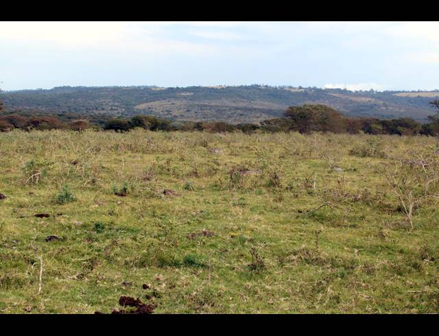 367HA FARM FOR SALE IN KOMGA